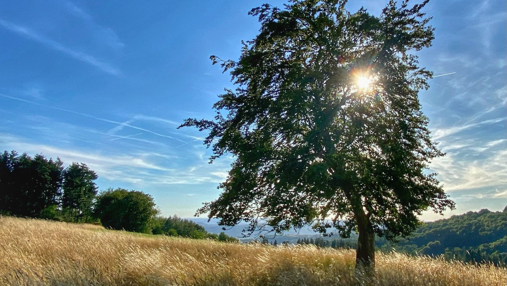 20220716 171855447 ios