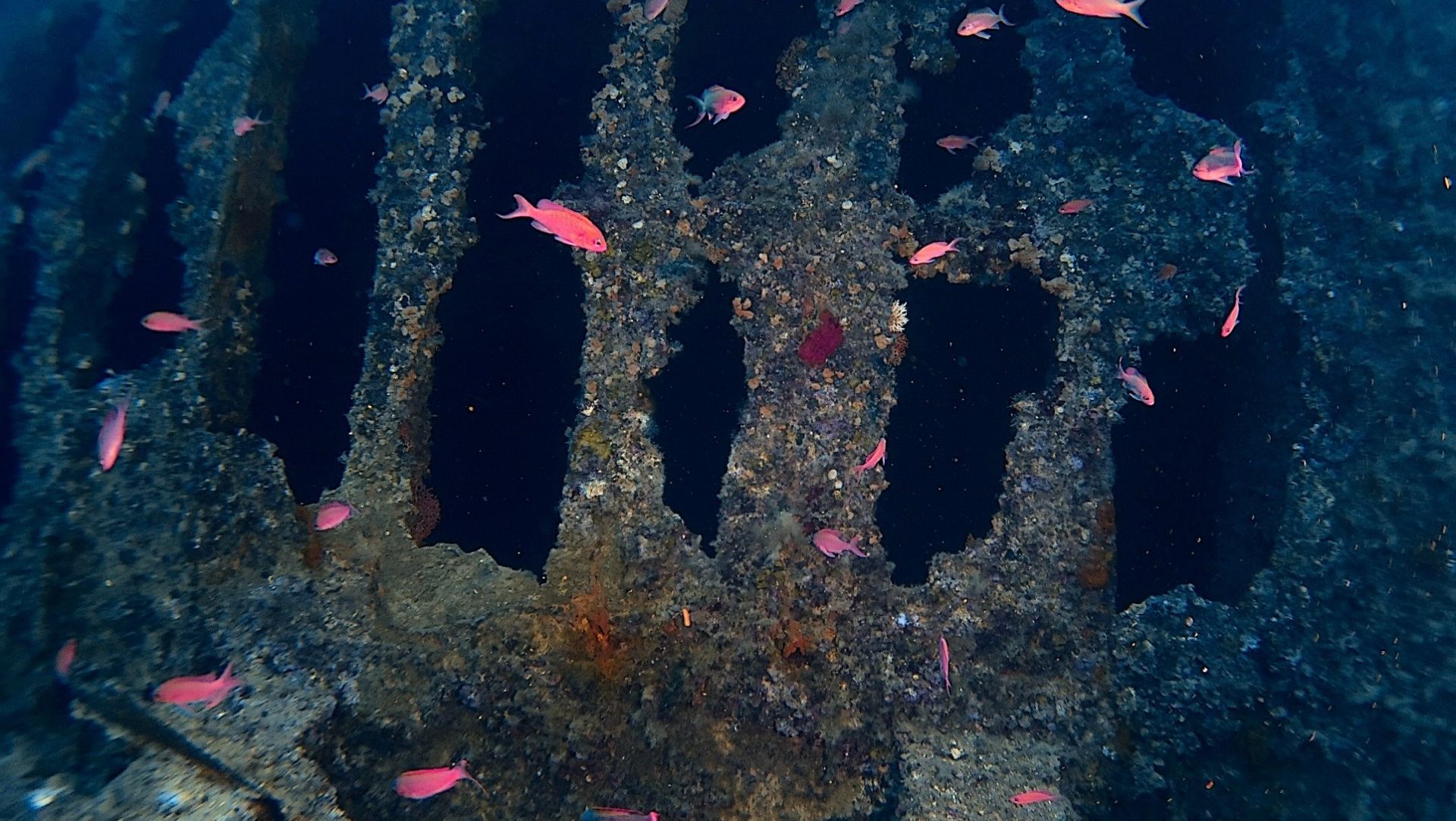 17b2506c 284d 4198 8982bd612095