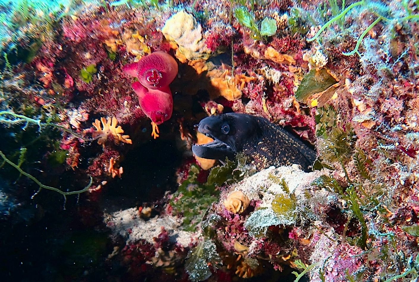 5faba918 4923 45bc ba8fd2b0909f1d