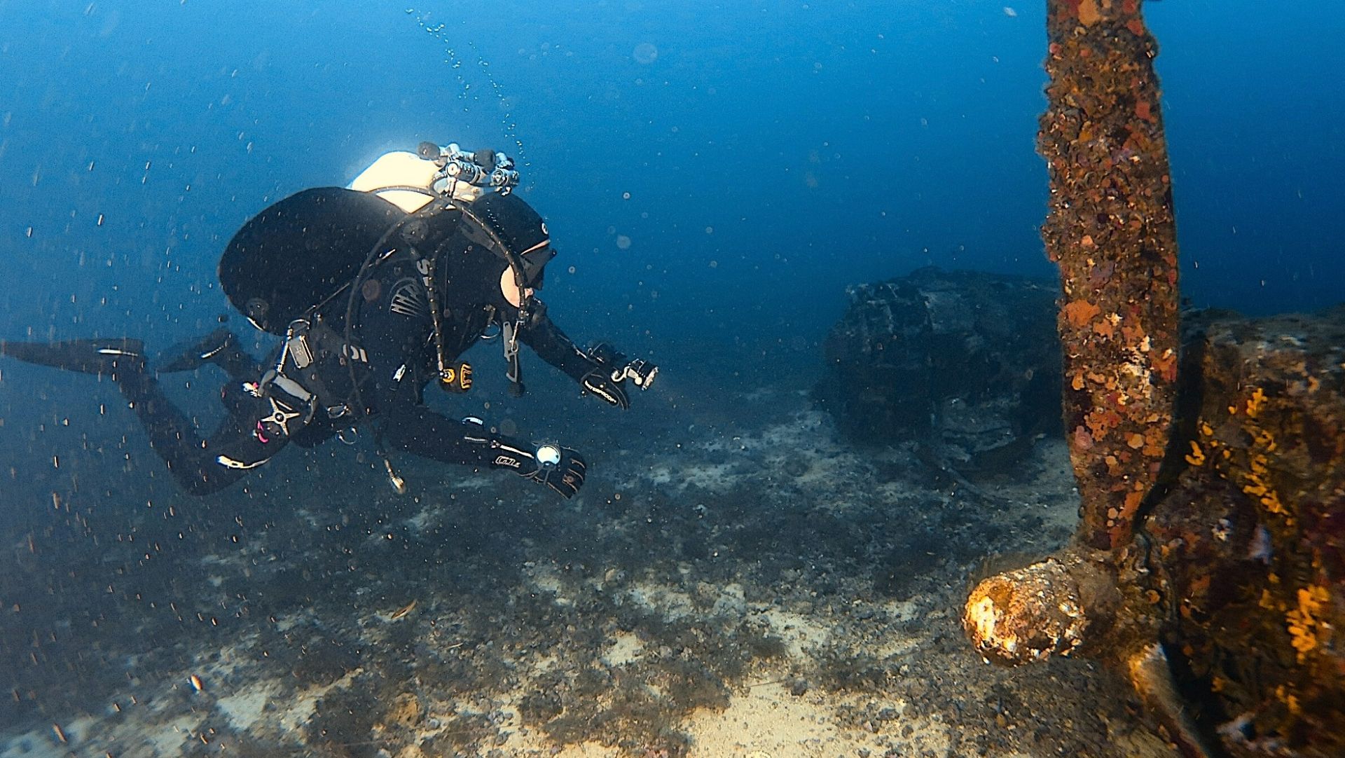 6da11a86 028d 411b 98b3ebe49db5320