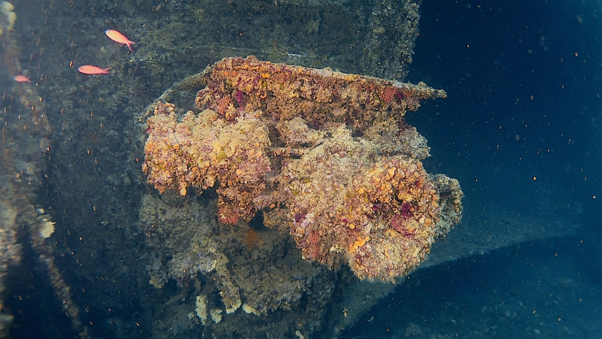 c684c4c3 072e 46af a6e8ec797994