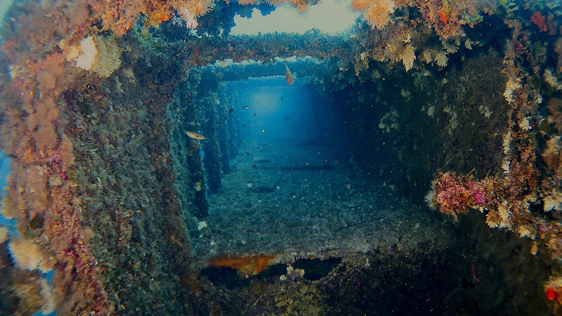 c6ef1885 4739 4c2e 957cca41c85