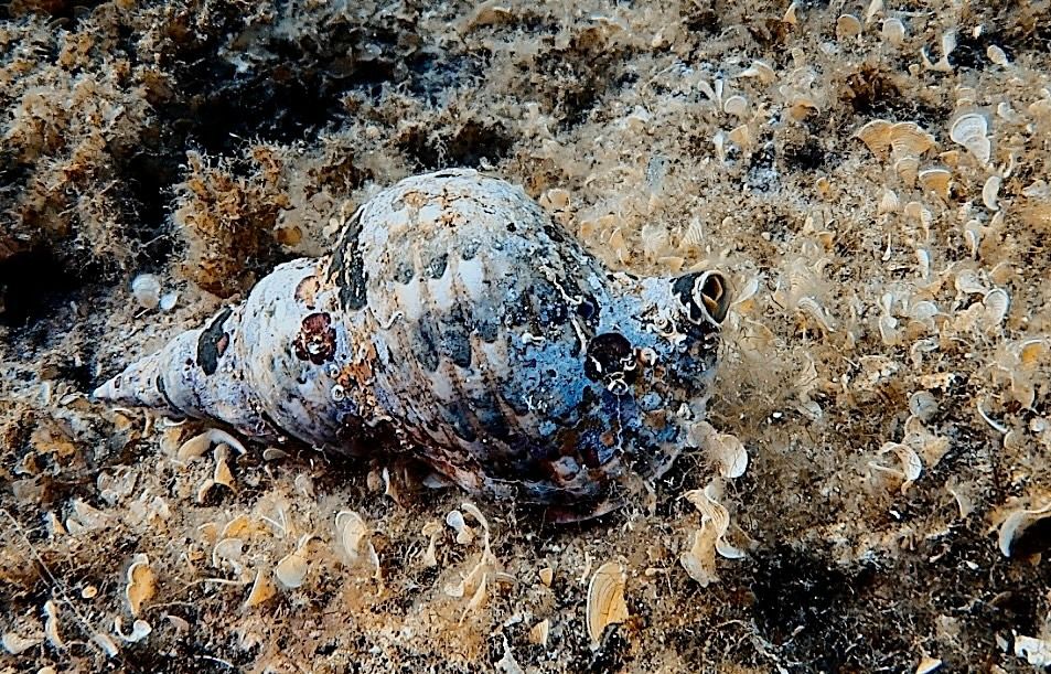 cd43c40d 95a8 407b e6ca8a1b4783