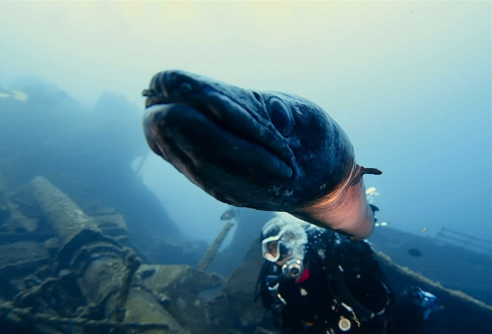 d0507ebf 5793 482d 90bab2e1e88