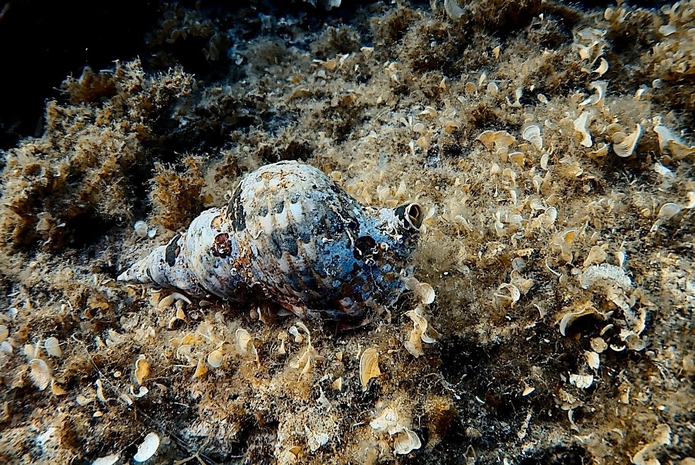 d1683db3 207fab ac48 ea9bb7f83106