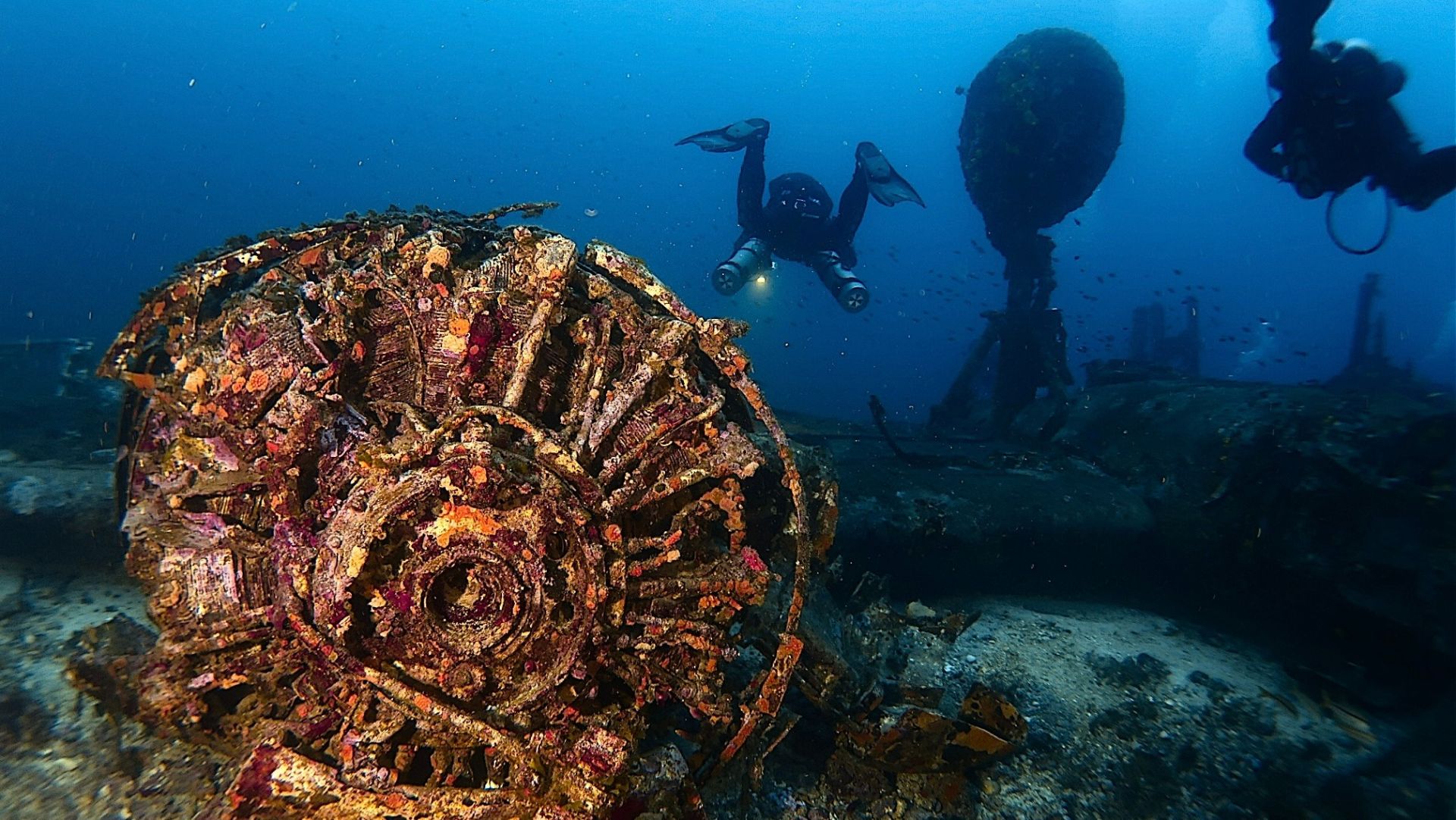 d68a7ac5 6401 4cd0 ad3caed1244867