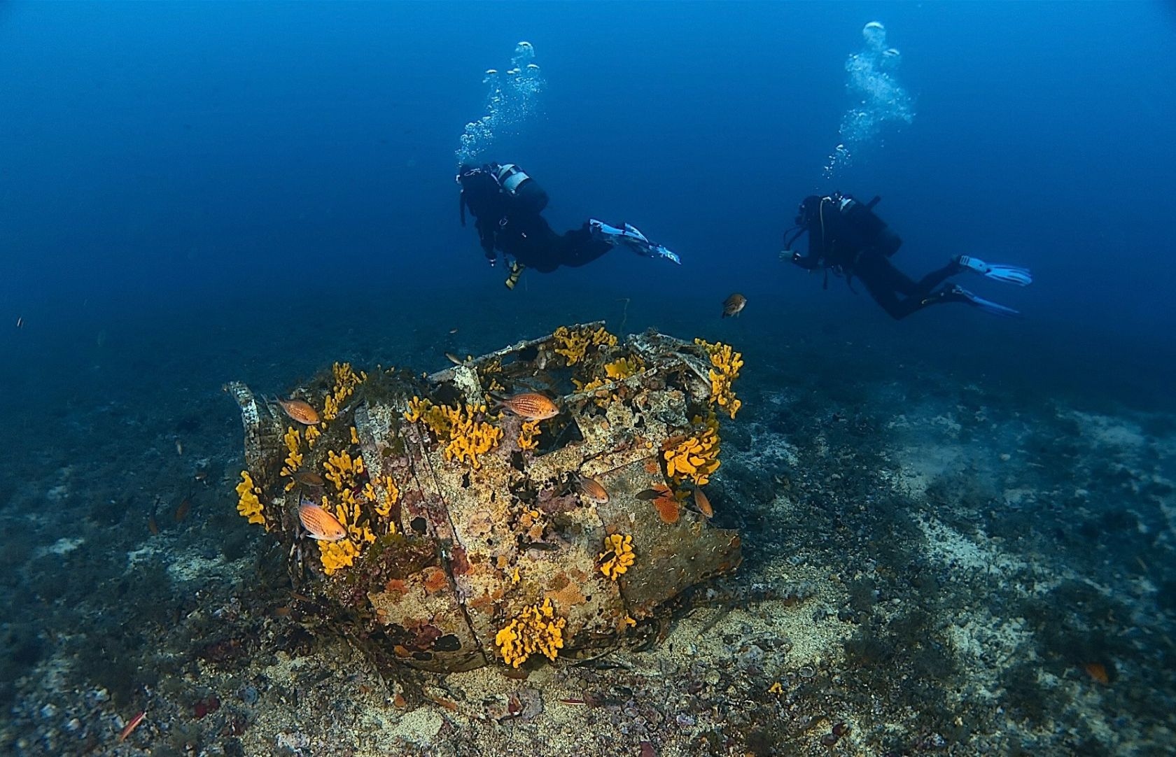 e58d7434 82c1 4c01 b53cee9f33e584b