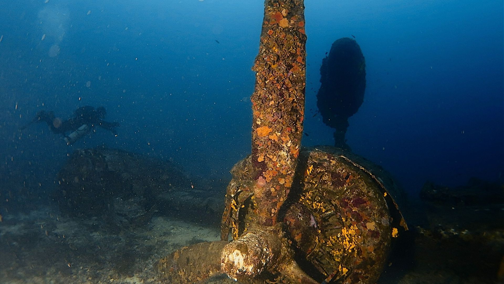 f53c10c8 4681d0 bc3a b479a43d9fd7