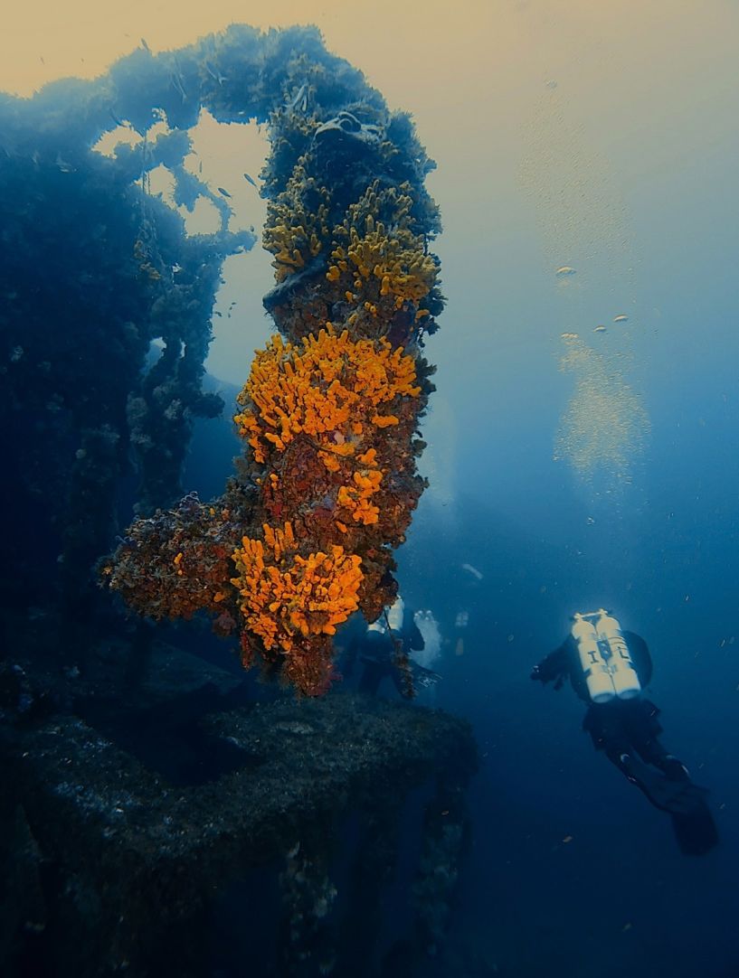 fac39066 422d 4602 87a1b36a46315